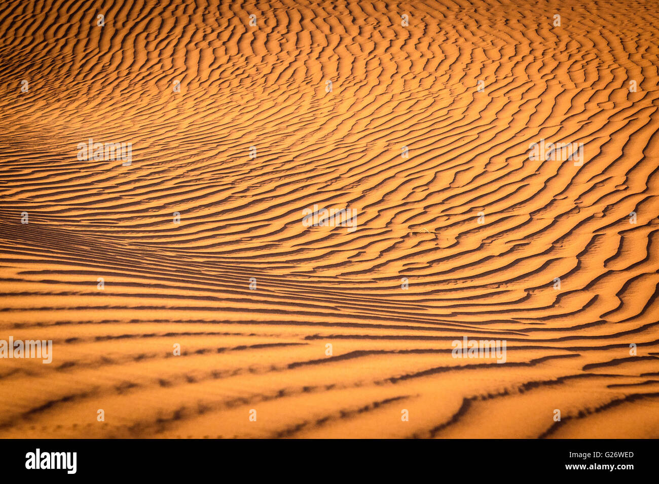 Sand patterns from blown wind Stock Photo