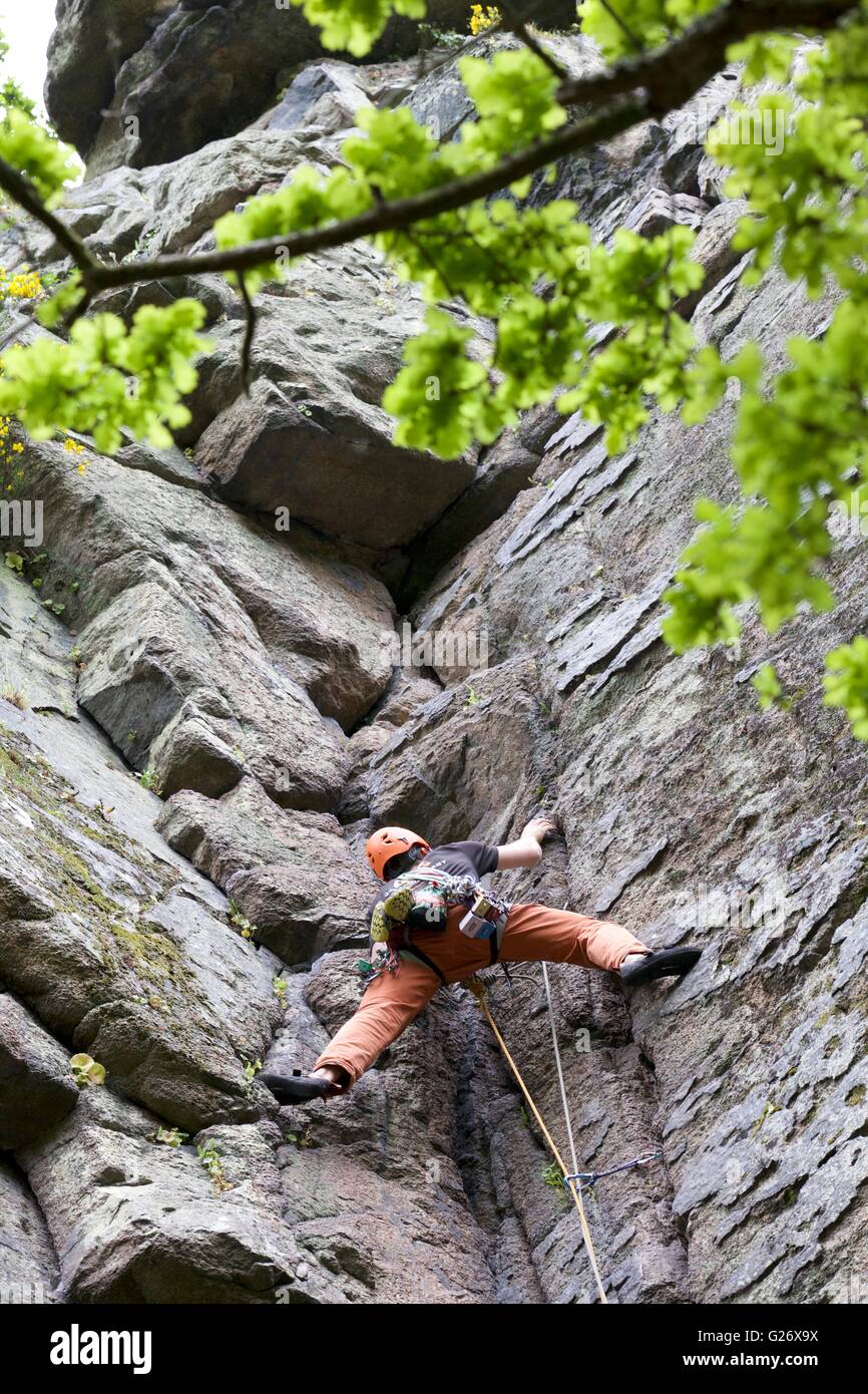 Climber climbing The Dewerstone, near Shaugh Bridge, Dewerstone Wood