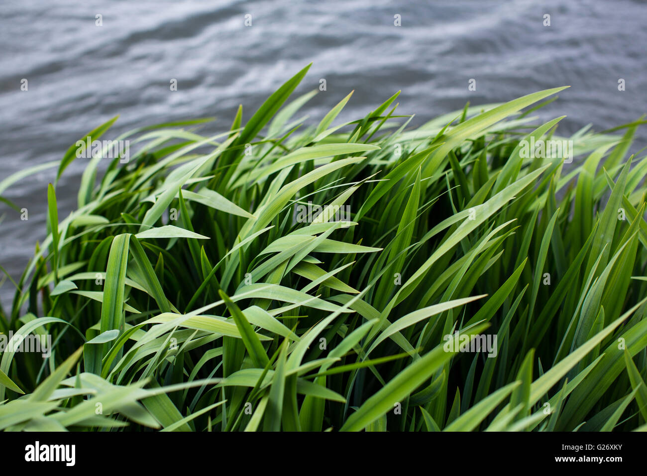 Bending edge hi-res stock photography and images - Alamy