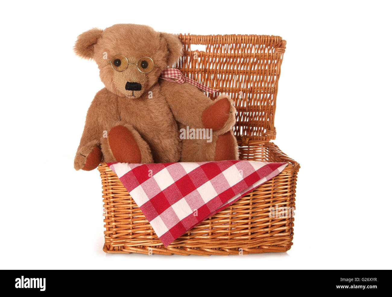 teddy bear picnic basket