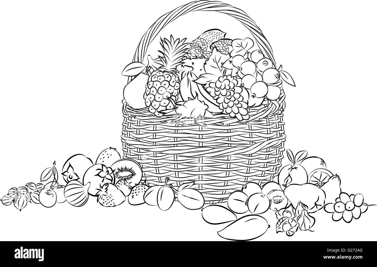 vector illustration of basket full of fruits in line art mode Stock Vector
