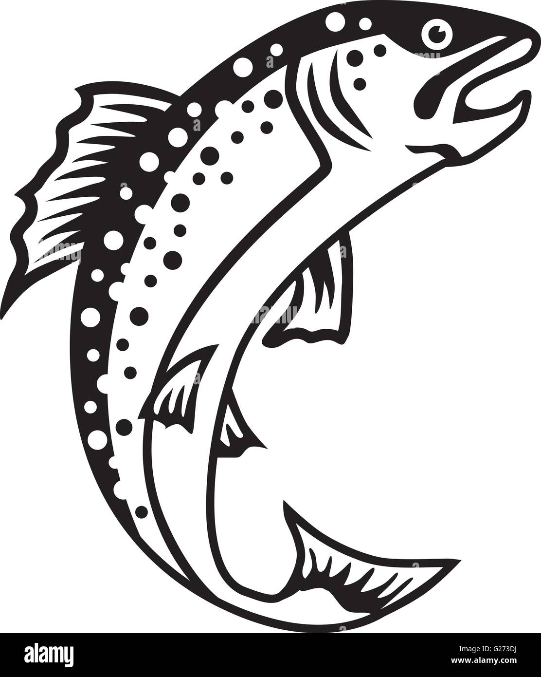 Trout vector vectors hires stock photography and images Alamy