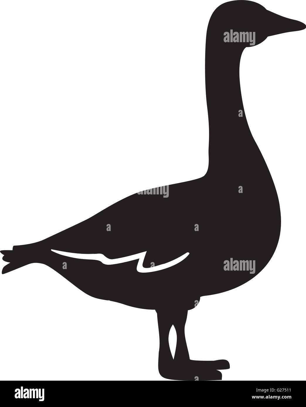 Goose feather vector vectors hi-res stock photography and images - Alamy