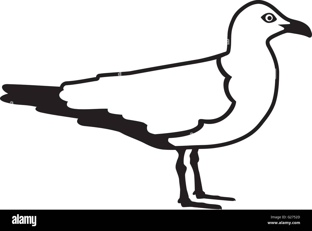 Чайка сидит рисунок