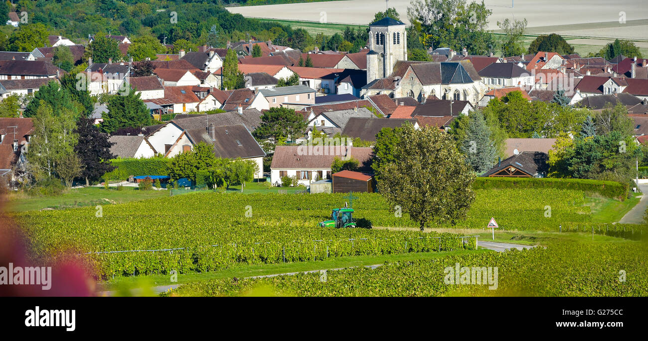 Champagne vineyards in the Cote des Bar area of the Aube department near to Celles sur Ource Champagne-Ardennes, France, Europe Stock Photo