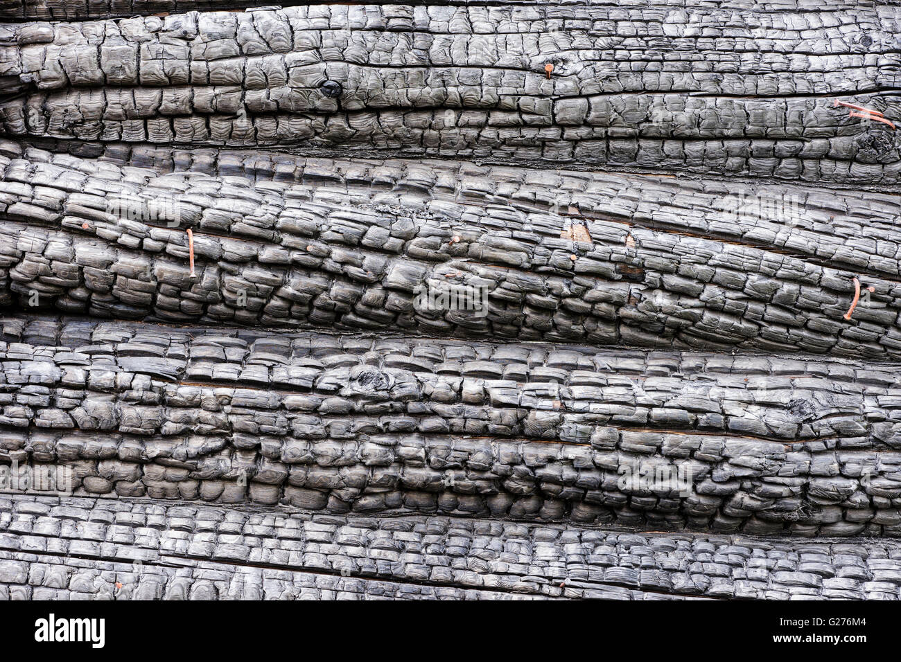 Black charred wood pattern. Burned tree texture background. Burnt log Stock  Photo - Alamy