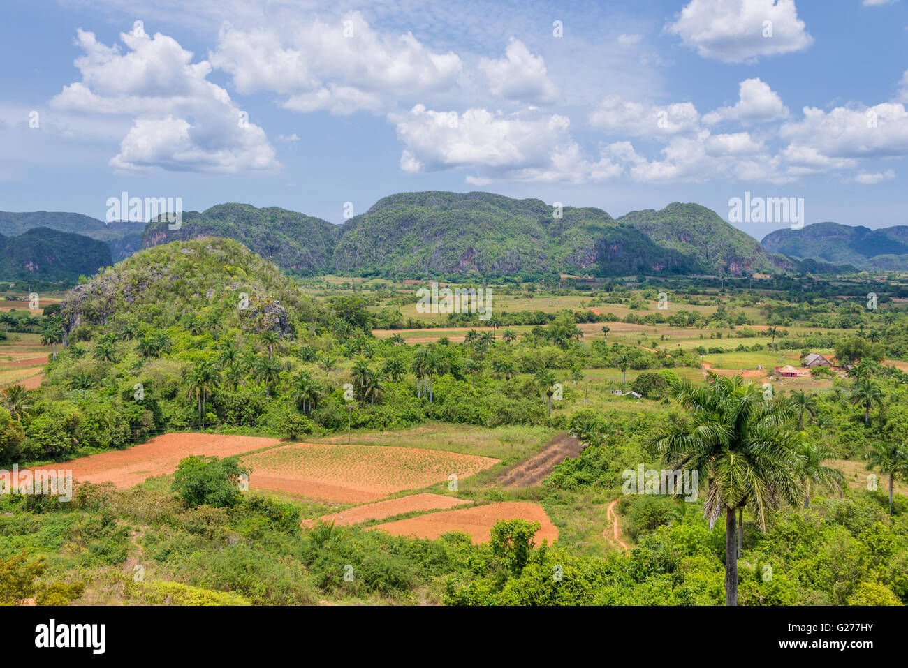 Panorama of Vinales Valley, Cuba Stock Photo