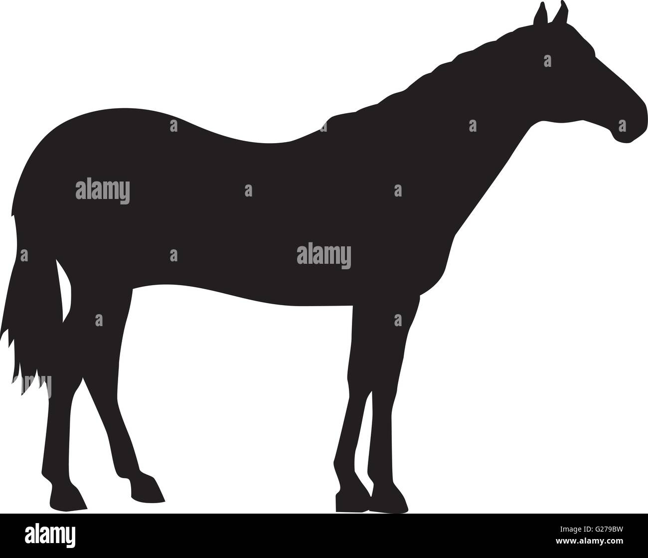 Quarter Horse silhouette Stock Vector Image & Art Alamy