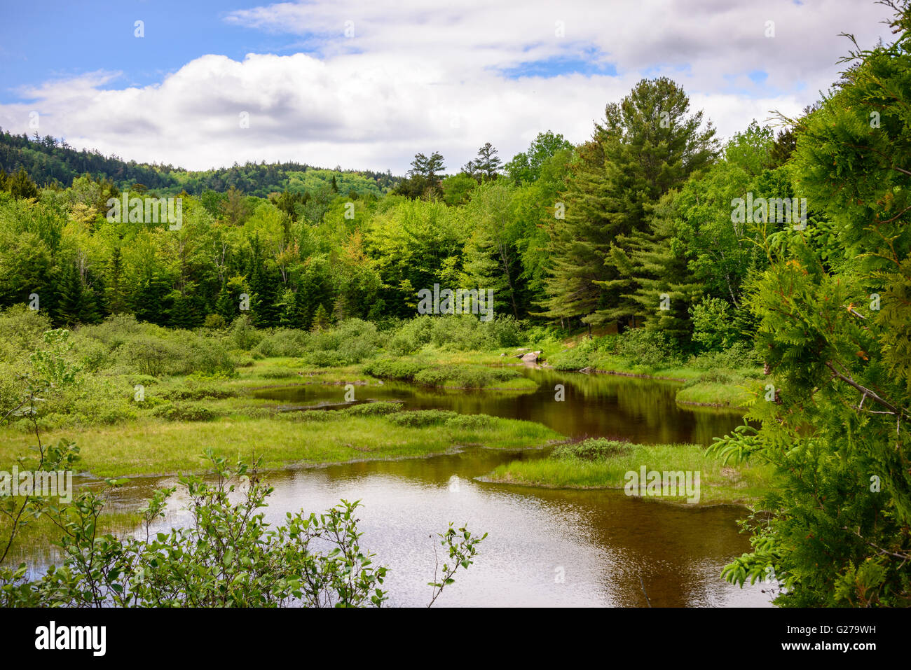 Allagash Maine Stock Photos & Allagash Maine Stock Images Alamy