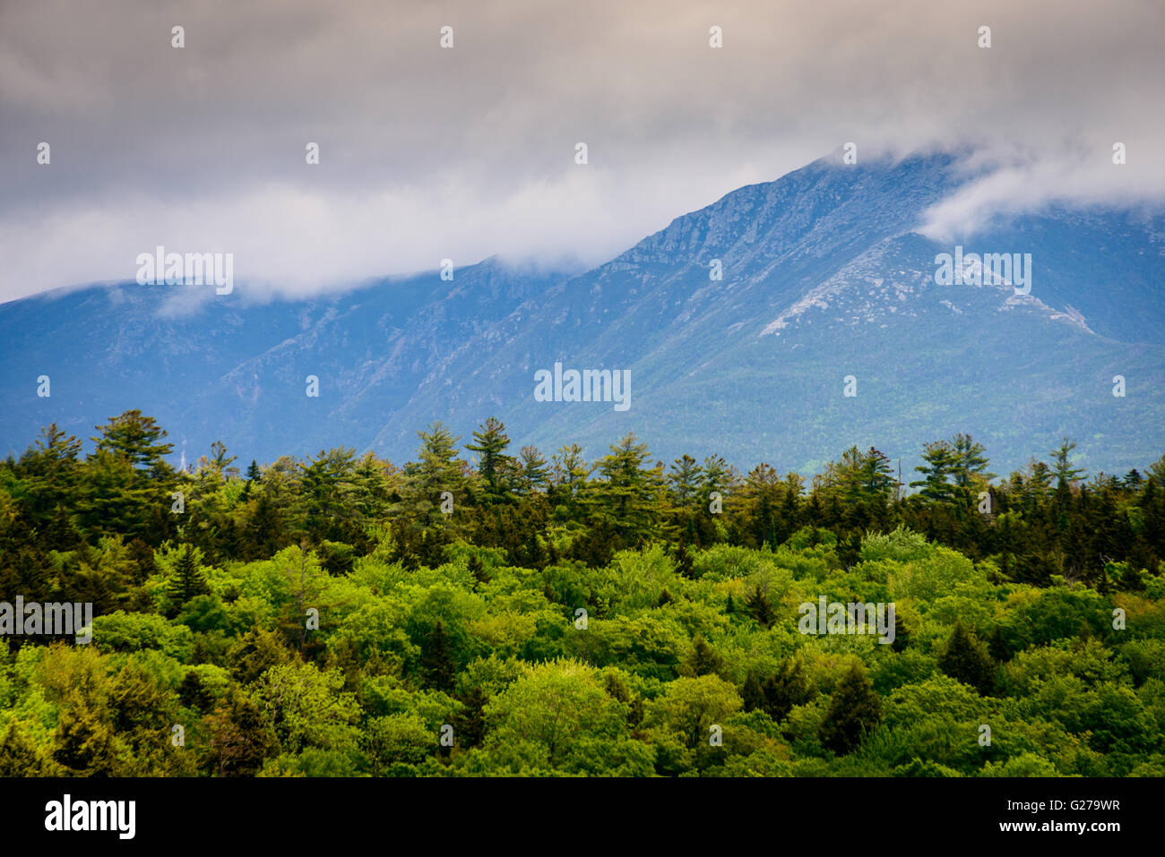 Maine North Woods Stock Photo Alamy