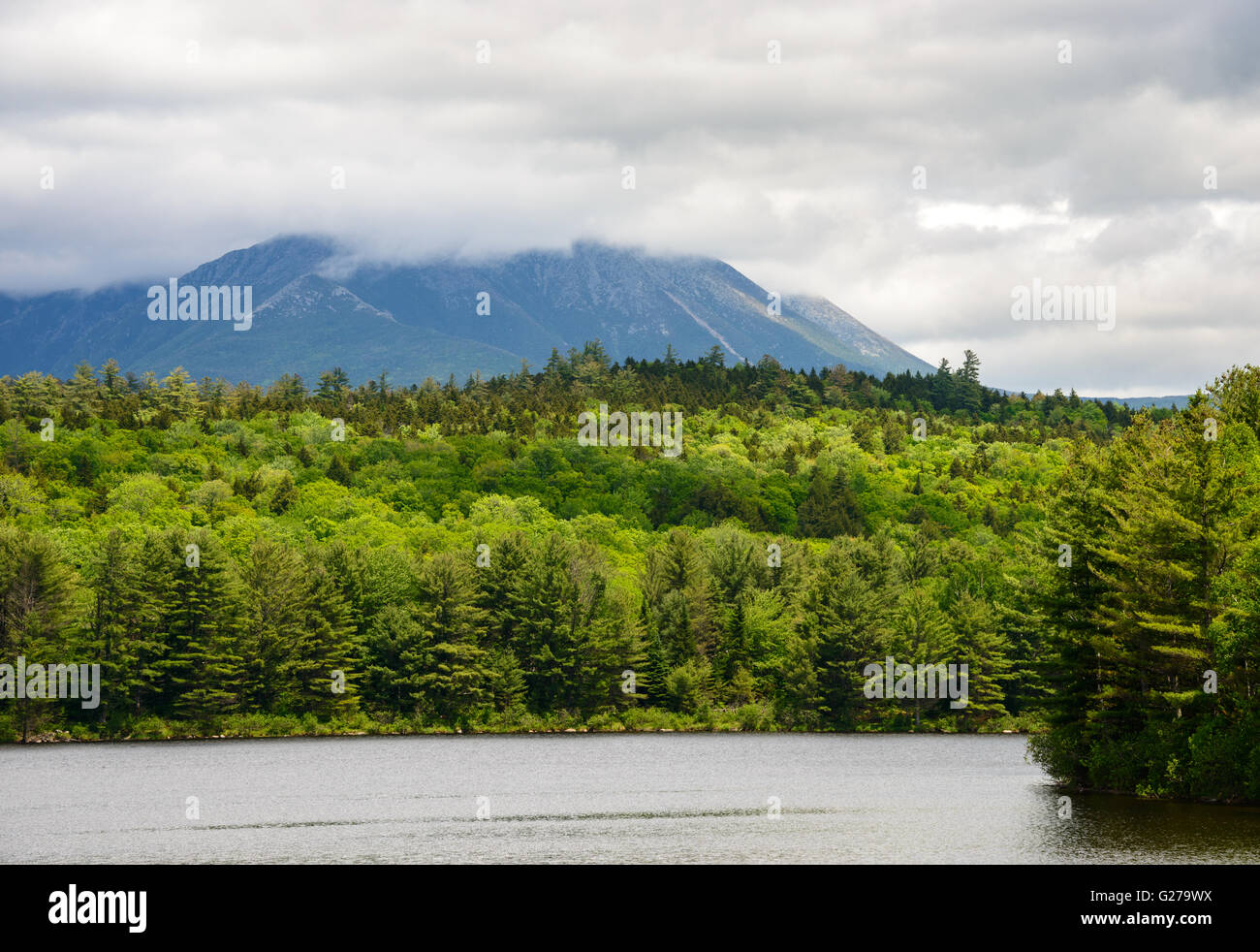 Maine North Woods Stock Photo Alamy