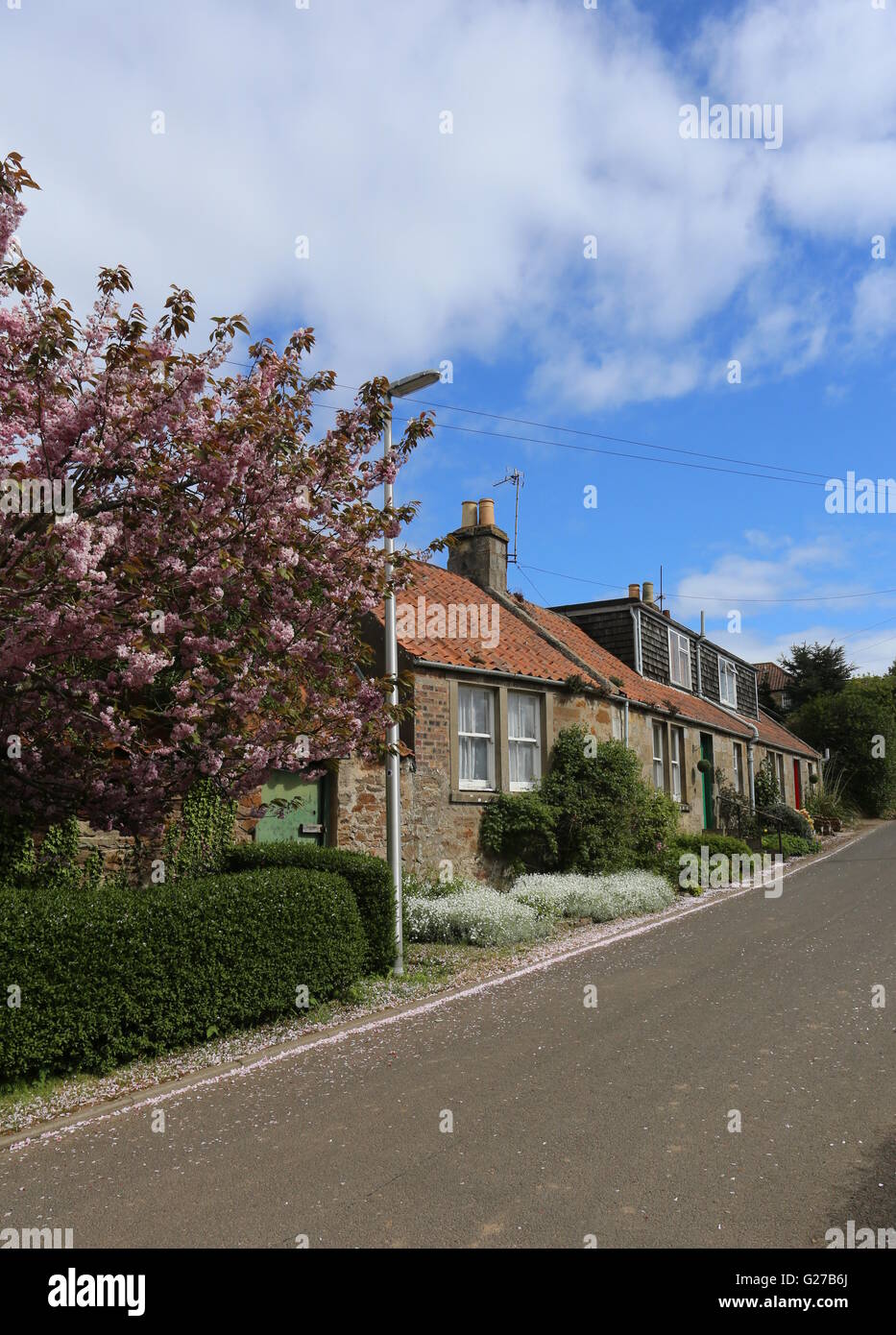 Boarhills street scene Fife Scotland May 2016 Stock Photo Alamy