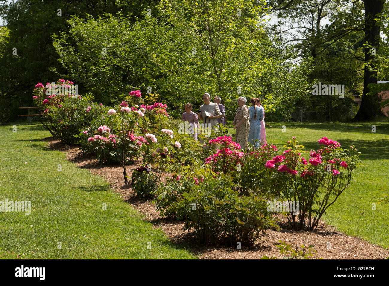 Amish women visiting Peony garden. Stock Photo