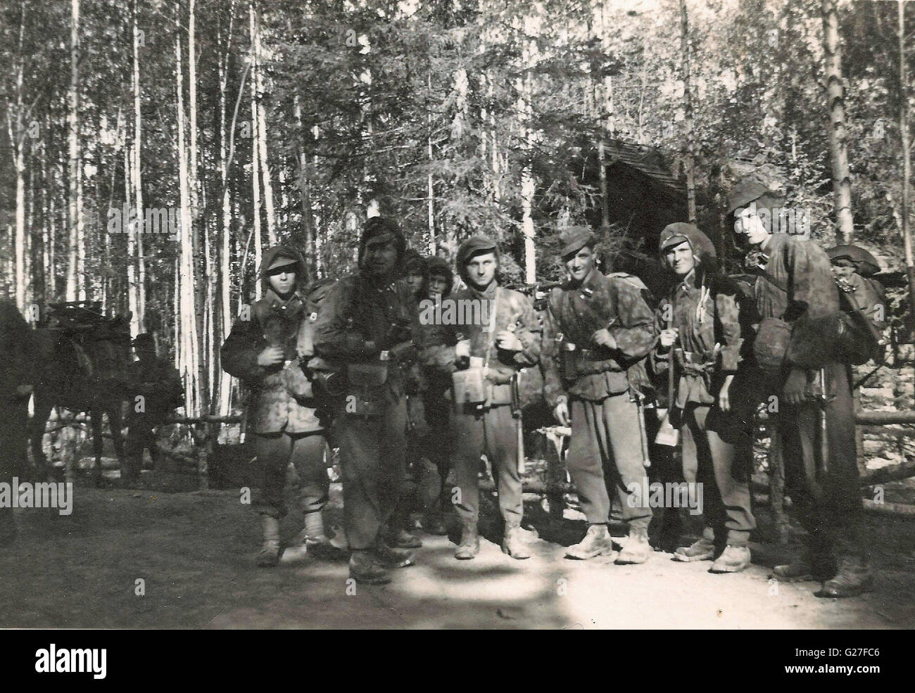 Waffen SS men in Camouflage prepare to move out in the Northern Eastern Front 1941 Stock Photo