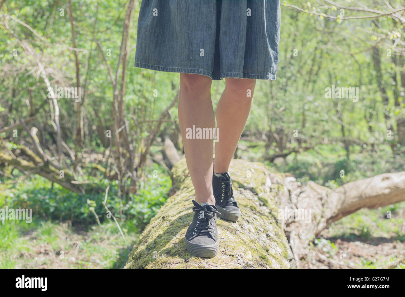 The legs of a young woman as she is walking on a felled tree in the ...