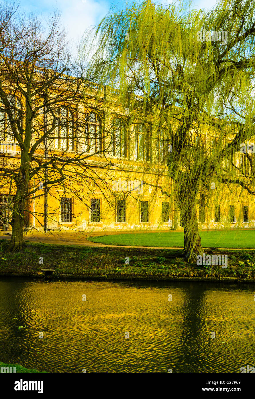 Rear facade of the Wren Library at Trinity College, Cambridge, England seen across the river Cam Stock Photo