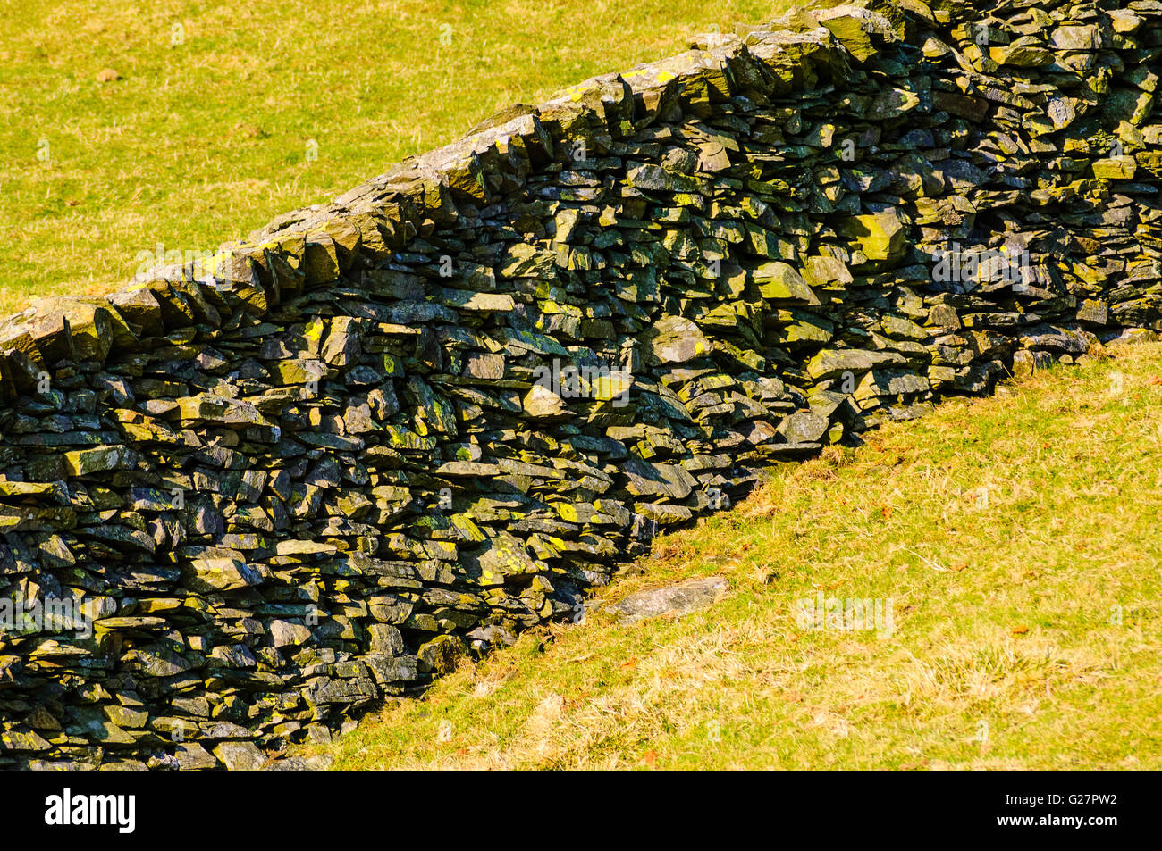 Dry-stone wall slanting up steep fellside on the slopes of Wansfell above Troutbeck in the Lake District Stock Photo