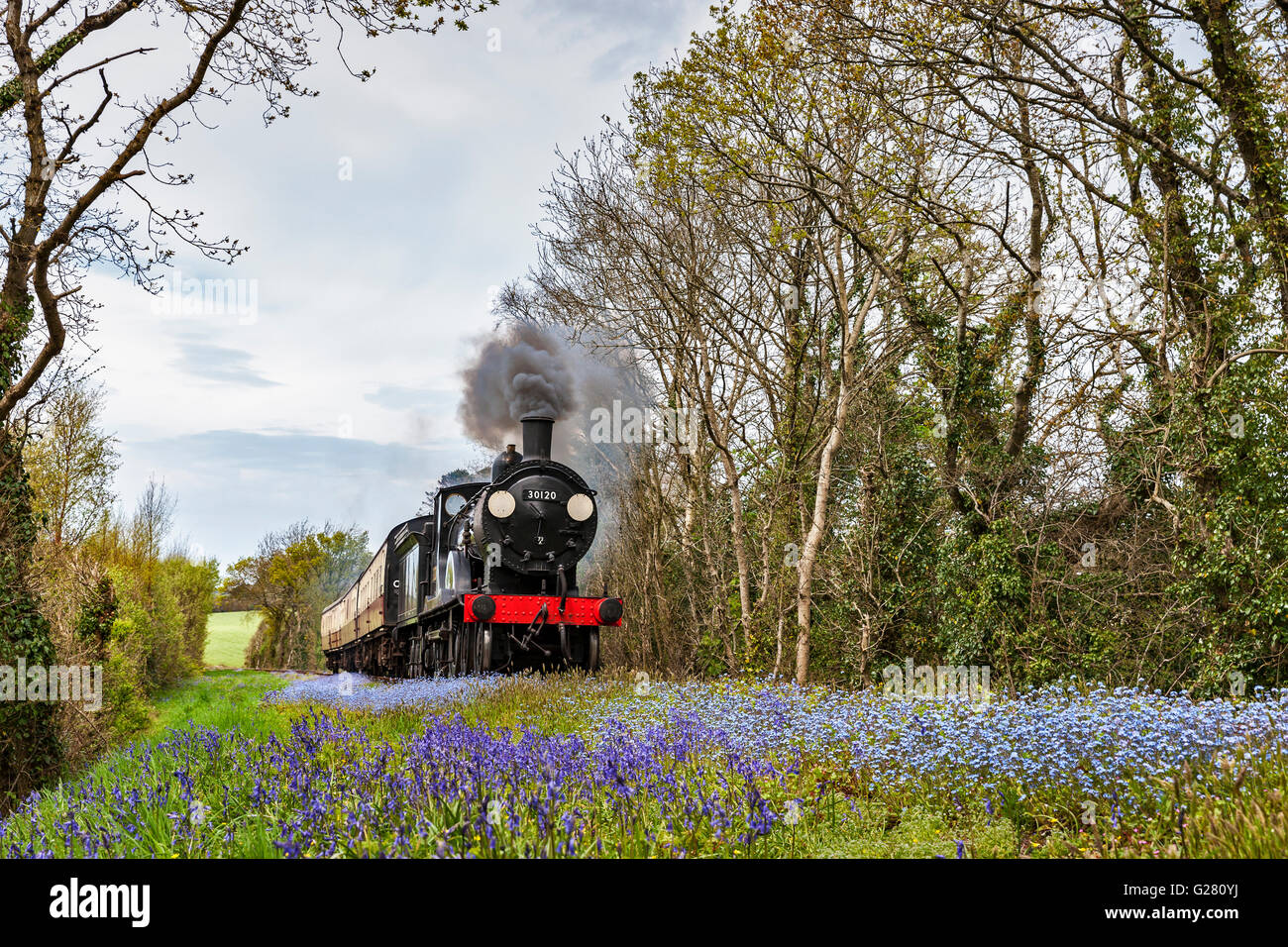 Bodmin & Wenford Steam Railway Stock Photo