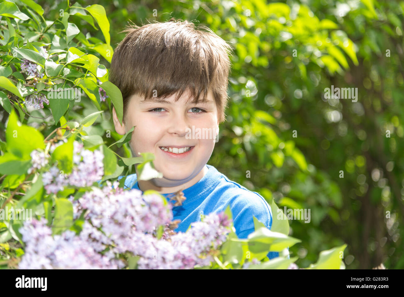 Portrait of boy in park with blooming lilacs Stock Photo