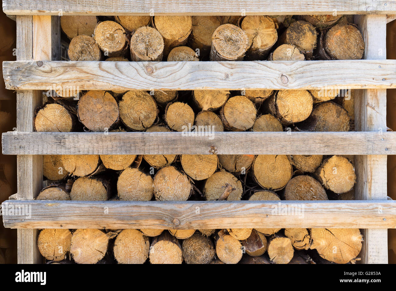 Firewood in a half-open wooden rack Stock Photo