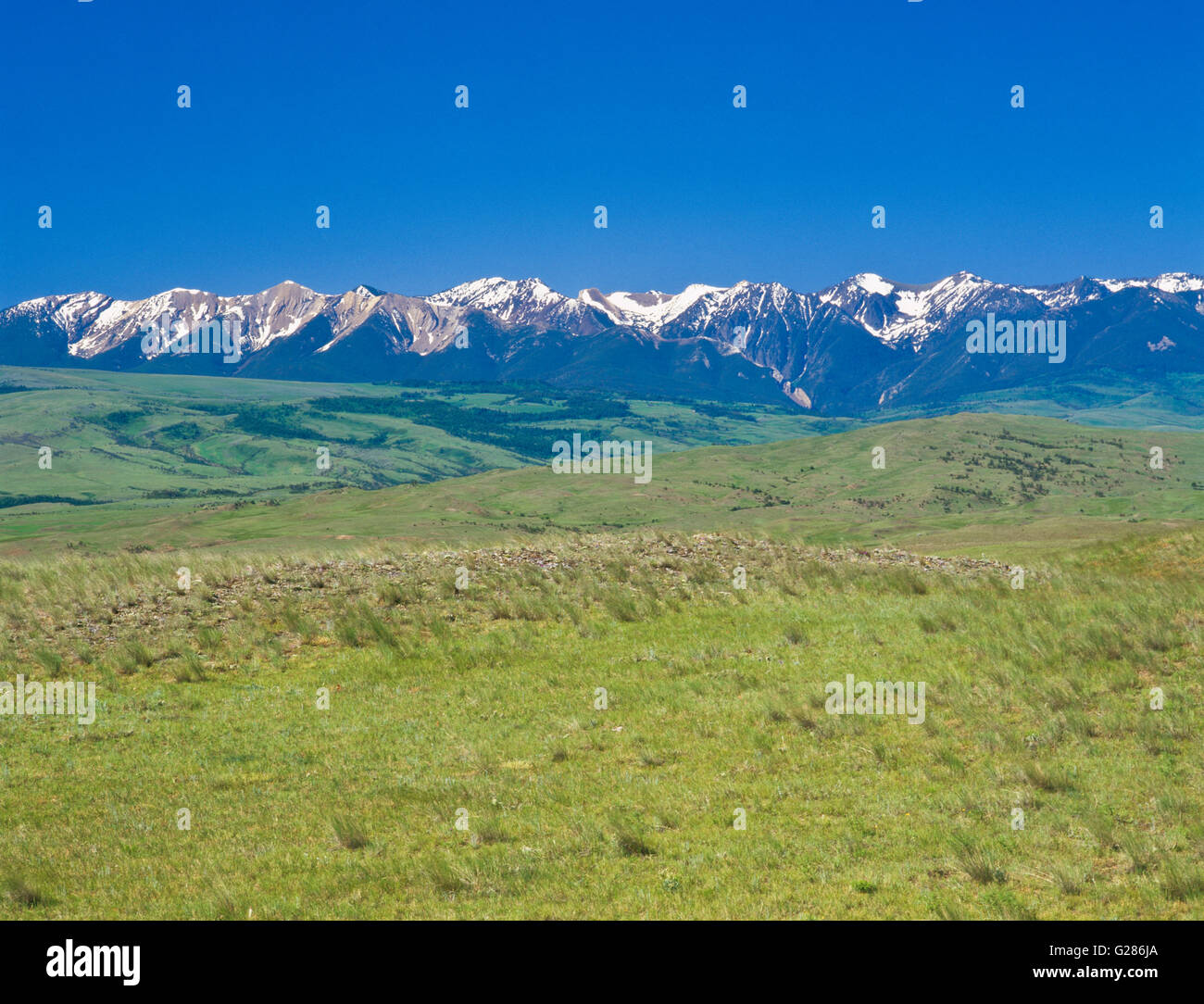 absaroka range and foothills near springdale, montana Stock Photo Alamy