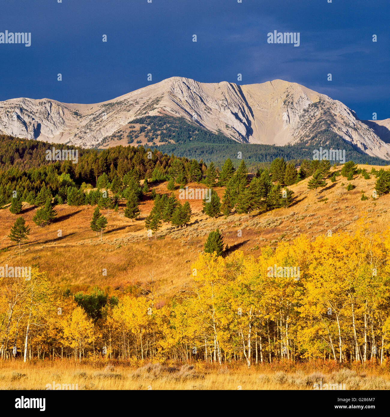 Bozeman montana fall hires stock photography and images Alamy