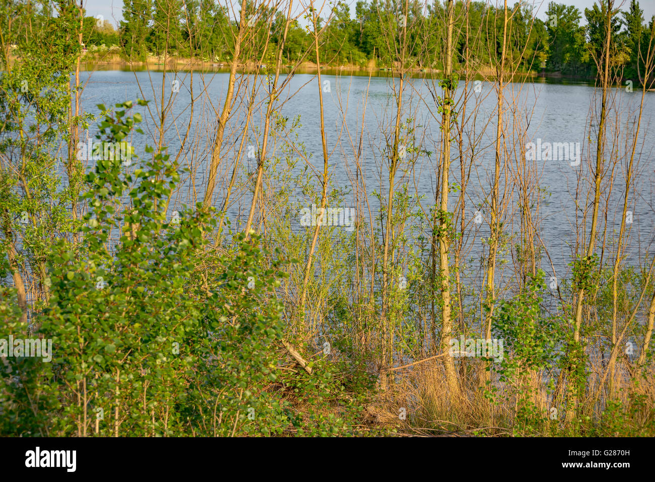 Blue green lake sunny weather hi-res stock photography and images - Alamy
