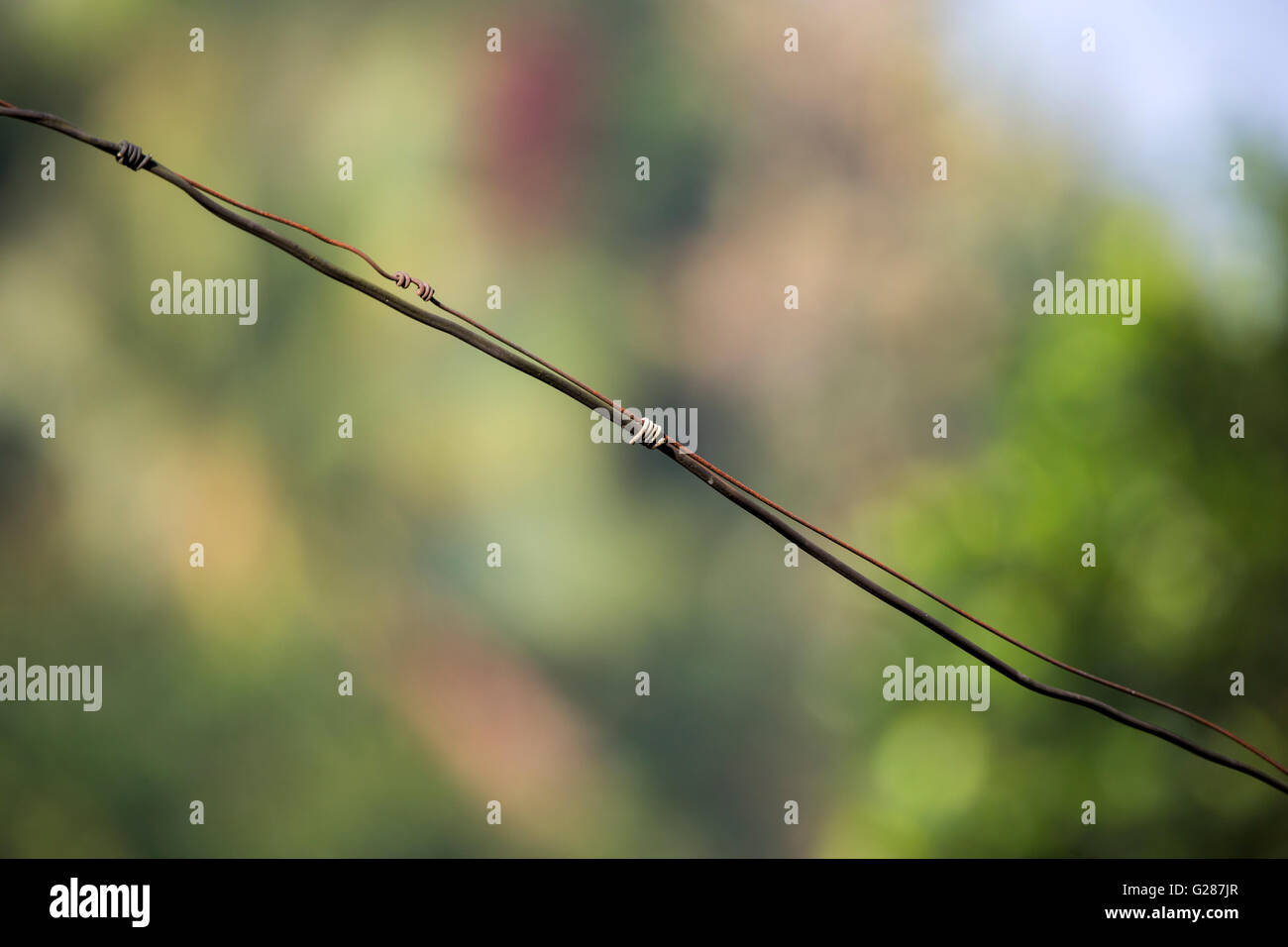 Old black electric wire with stray wire Stock Photo Alamy