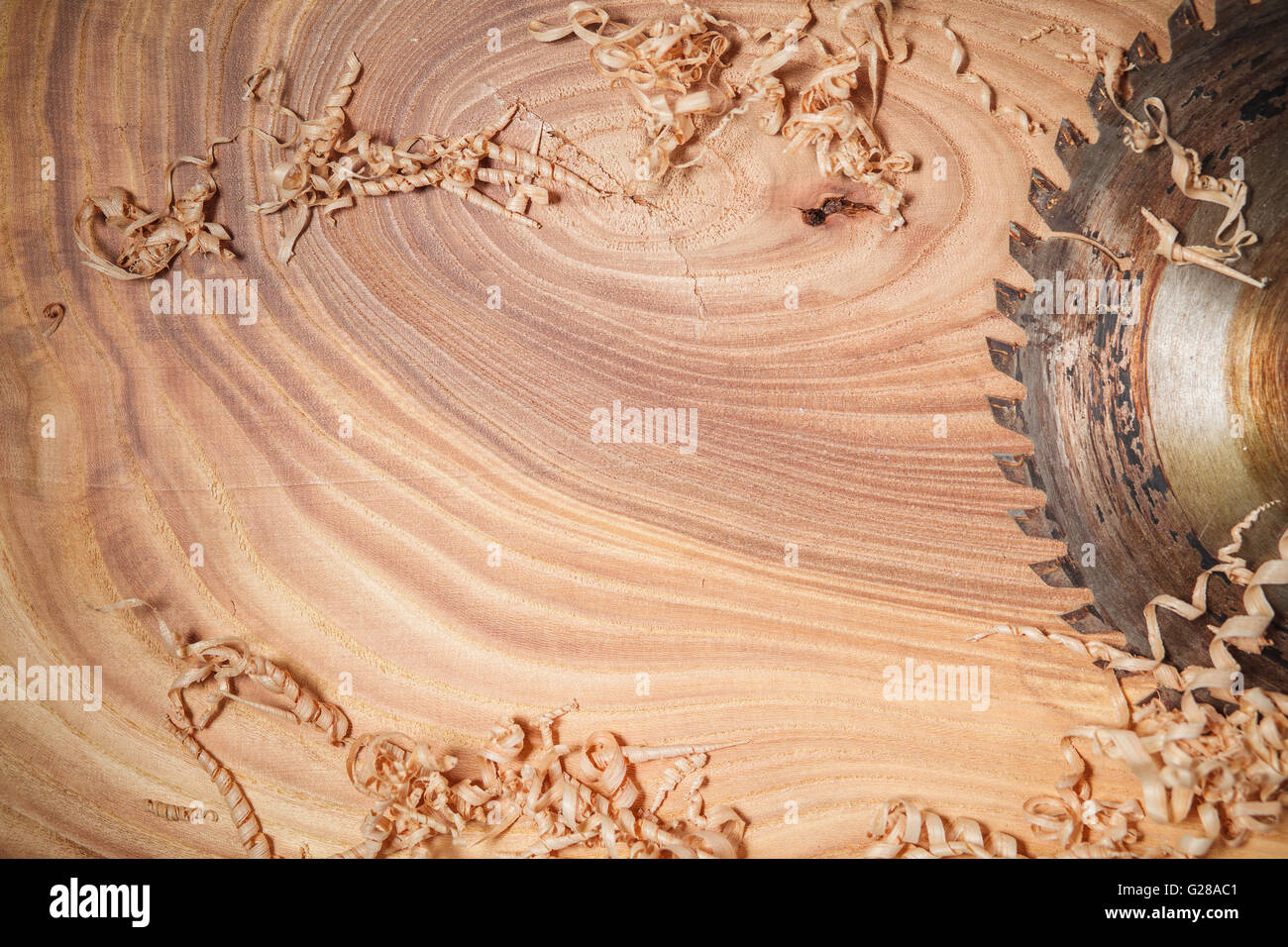 Circular Saw wood texture abstraction Stock Photo Alamy