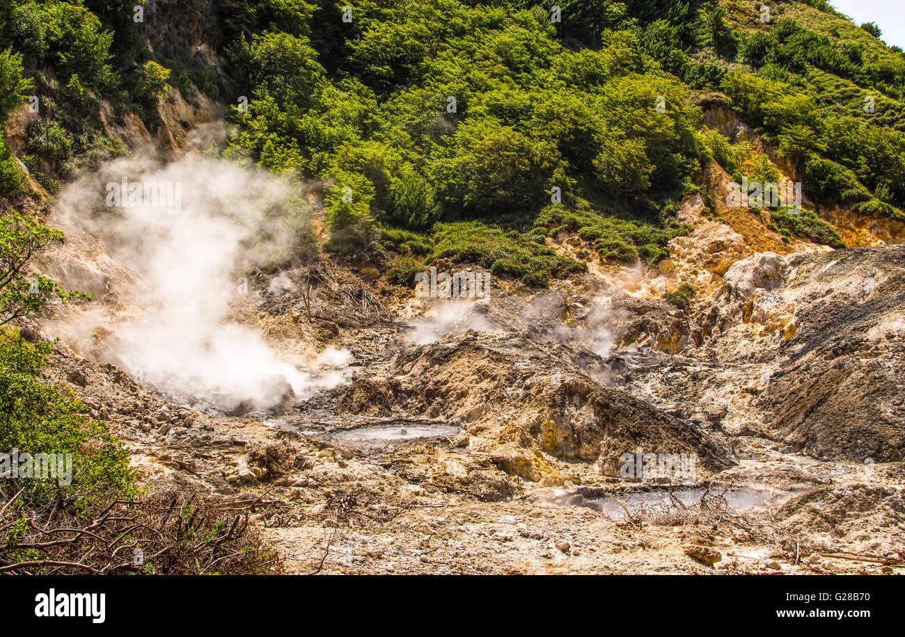 Smoking and bubbling rock pools on The Pitons Volcano top, St Lucia