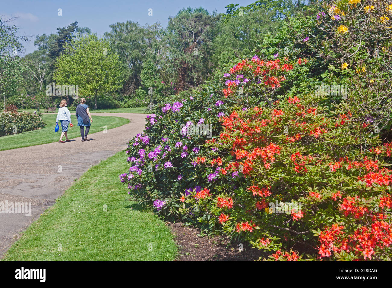 North Dulwich Garden Centre Garden Ftempo
