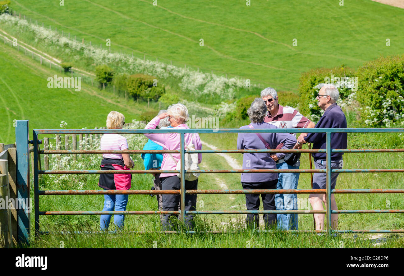 Walking group of elderly people in the British countryside. Stock Photo