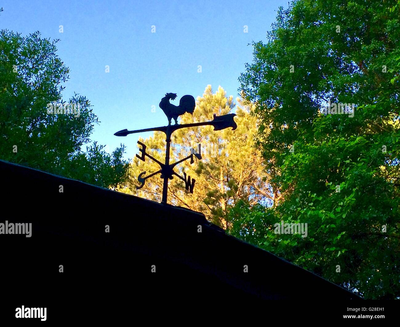 Rooster weather vane on a barn, at sunrise Stock Photo Alamy