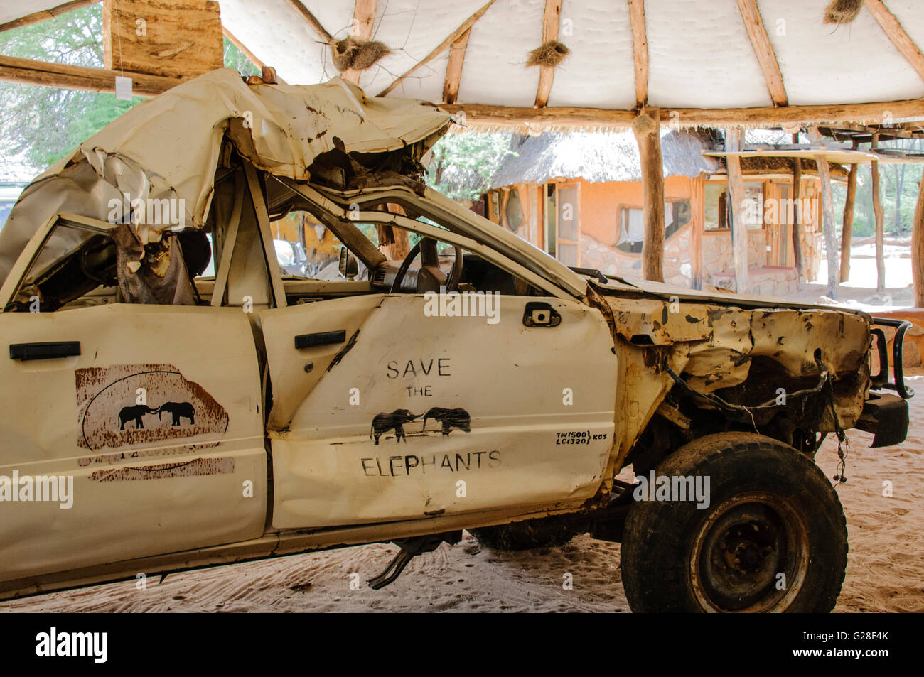 Headquarters of 'Save the Elephants' or STE, showing a vehicle that got in the way of two fighting bull elephants. Stock Photo