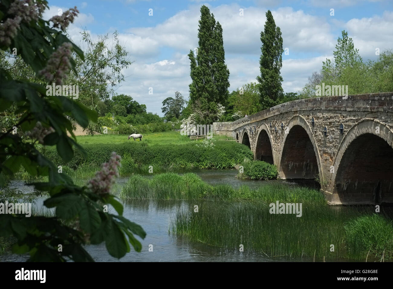 The old bridge over the River Avon at Barford, Warwickshire, England, UK. Stock Photo