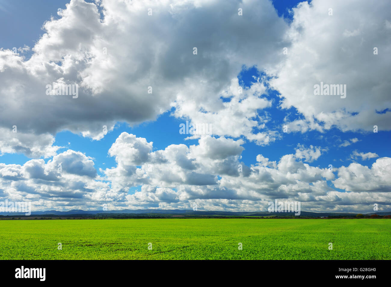 spring field and cloudy sky Stock Photo
