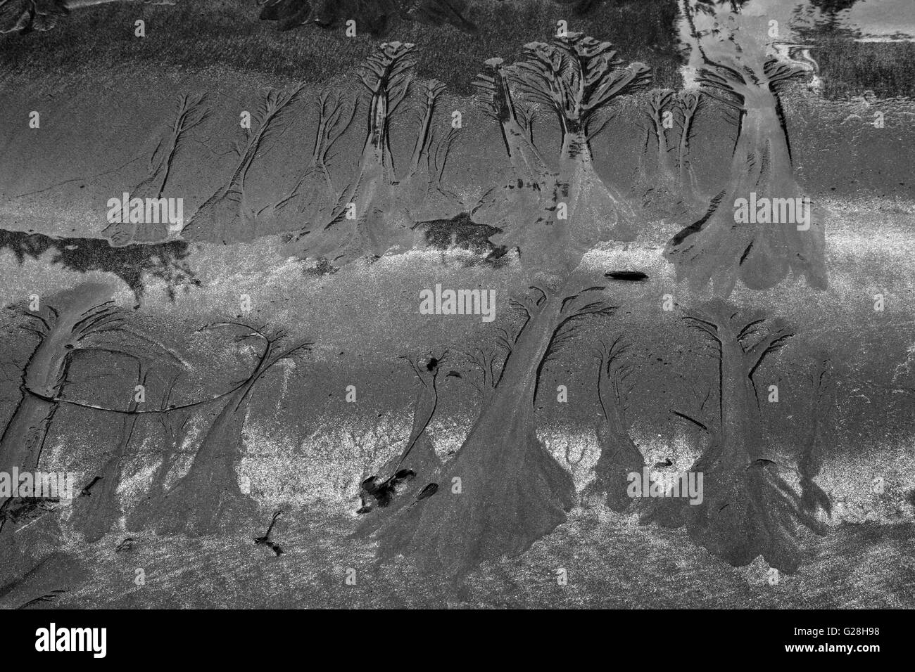 Washington Pattern Patterns and shapes Black and White Stock Photos & Images - Alamy