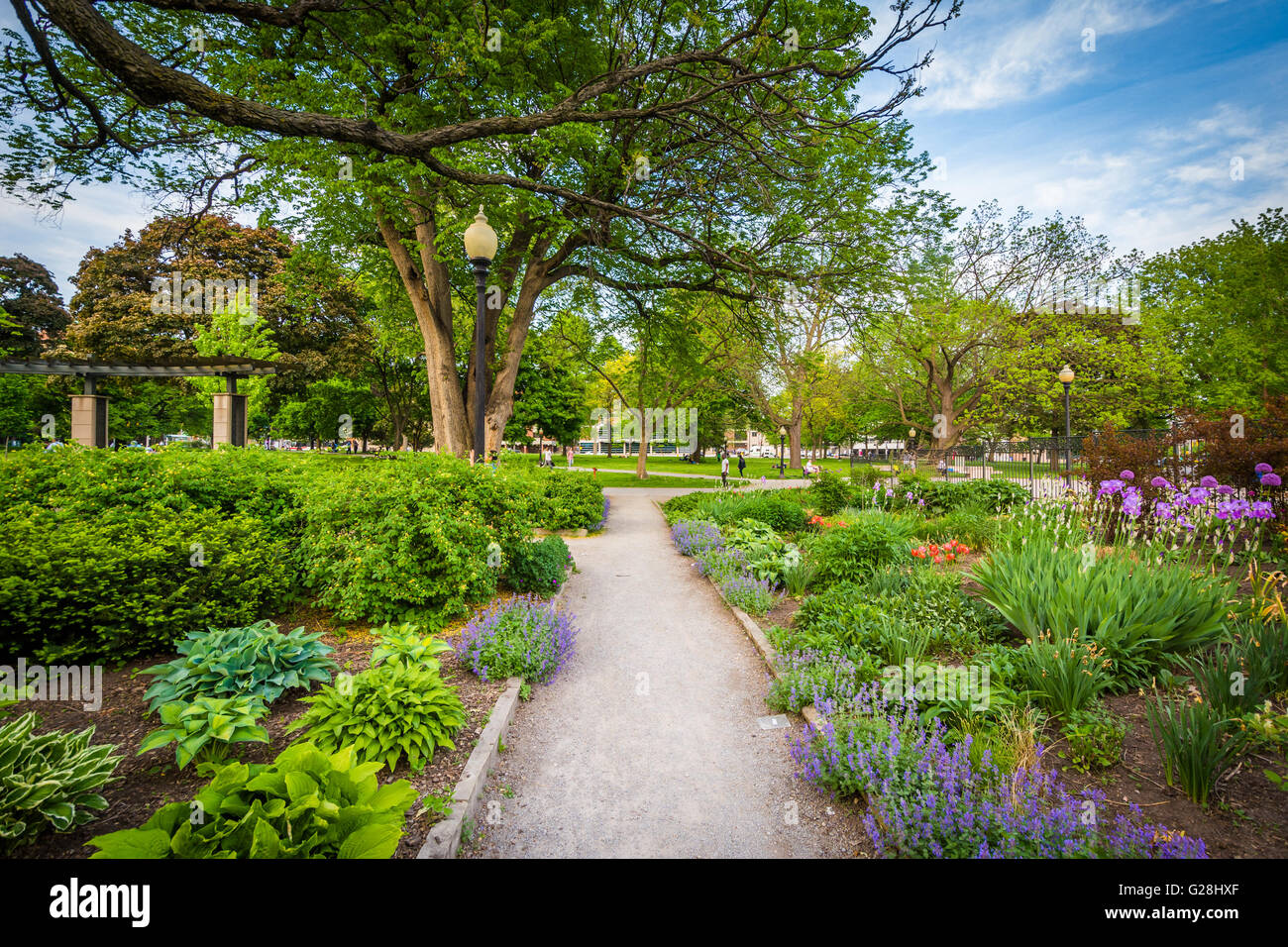 Walkway and gardens at the Allan Gardens, in the Garden District, Toronto, Ontario. Stock Photo