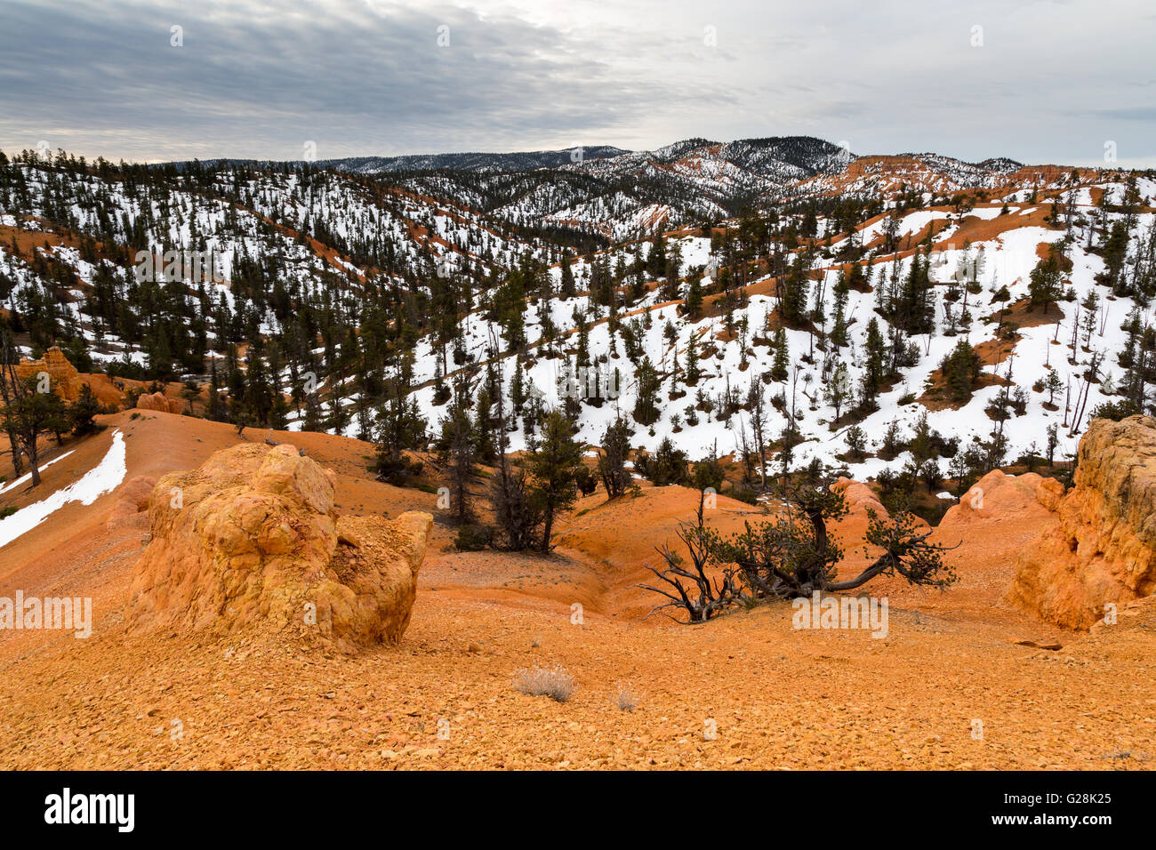Dixie red hills utah hires stock photography and images Alamy