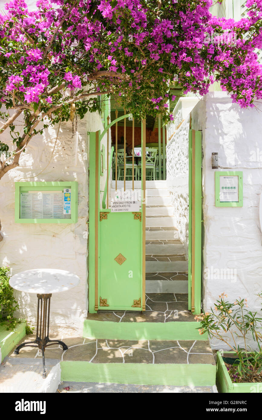 Bougainvillea covered Absinthe Restaurant entrance in Kamares Town, Sifnos  Island, Greece Stock Photo - Alamy
