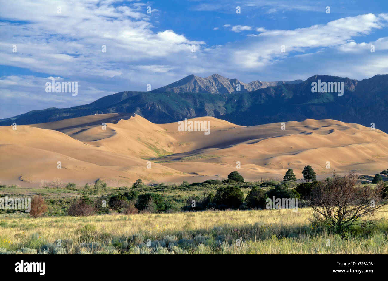 USA, Colorado, Great Sand Dunes National Park and Preserve, Great Sand Dune and Sangre de Cristo Mountains. Stock Photo