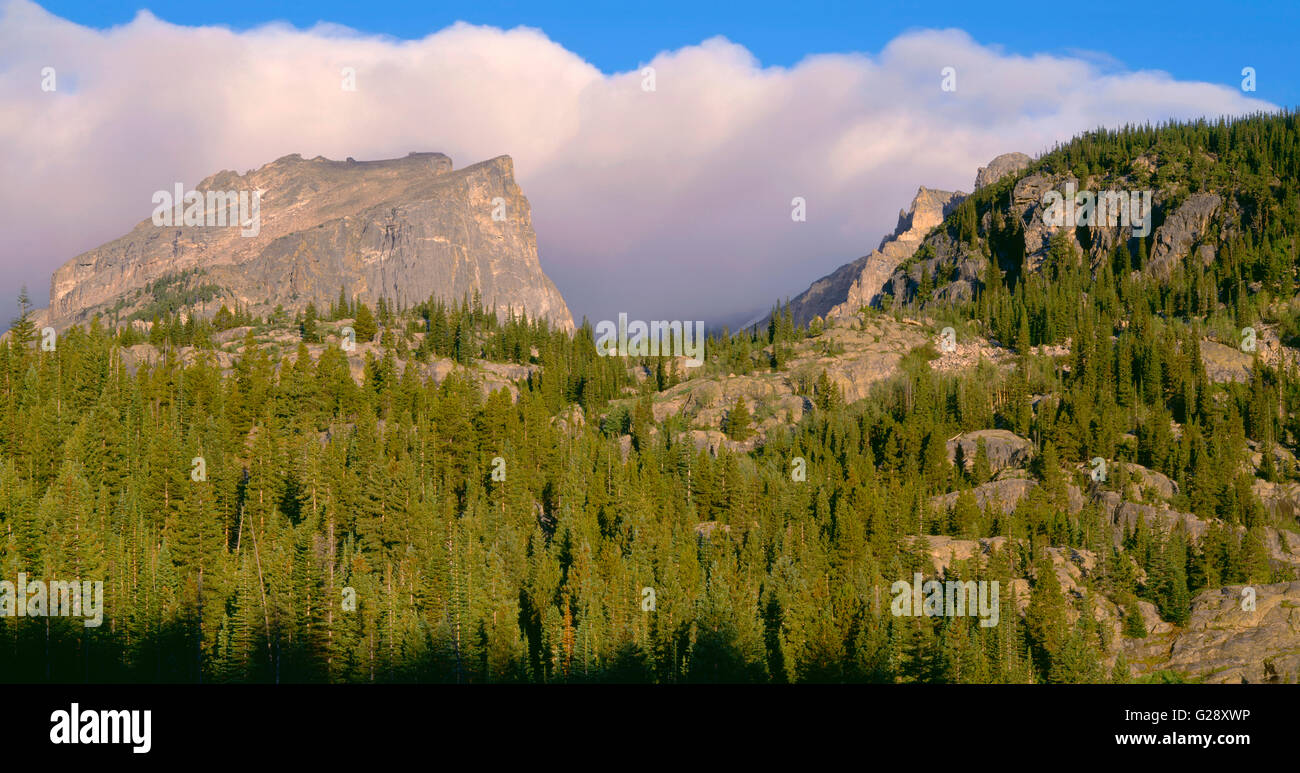 USA, Colorado, Rocky Mountain National Park, Hallett Peak and early morning storm clouds above coniferous forest. Stock Photo