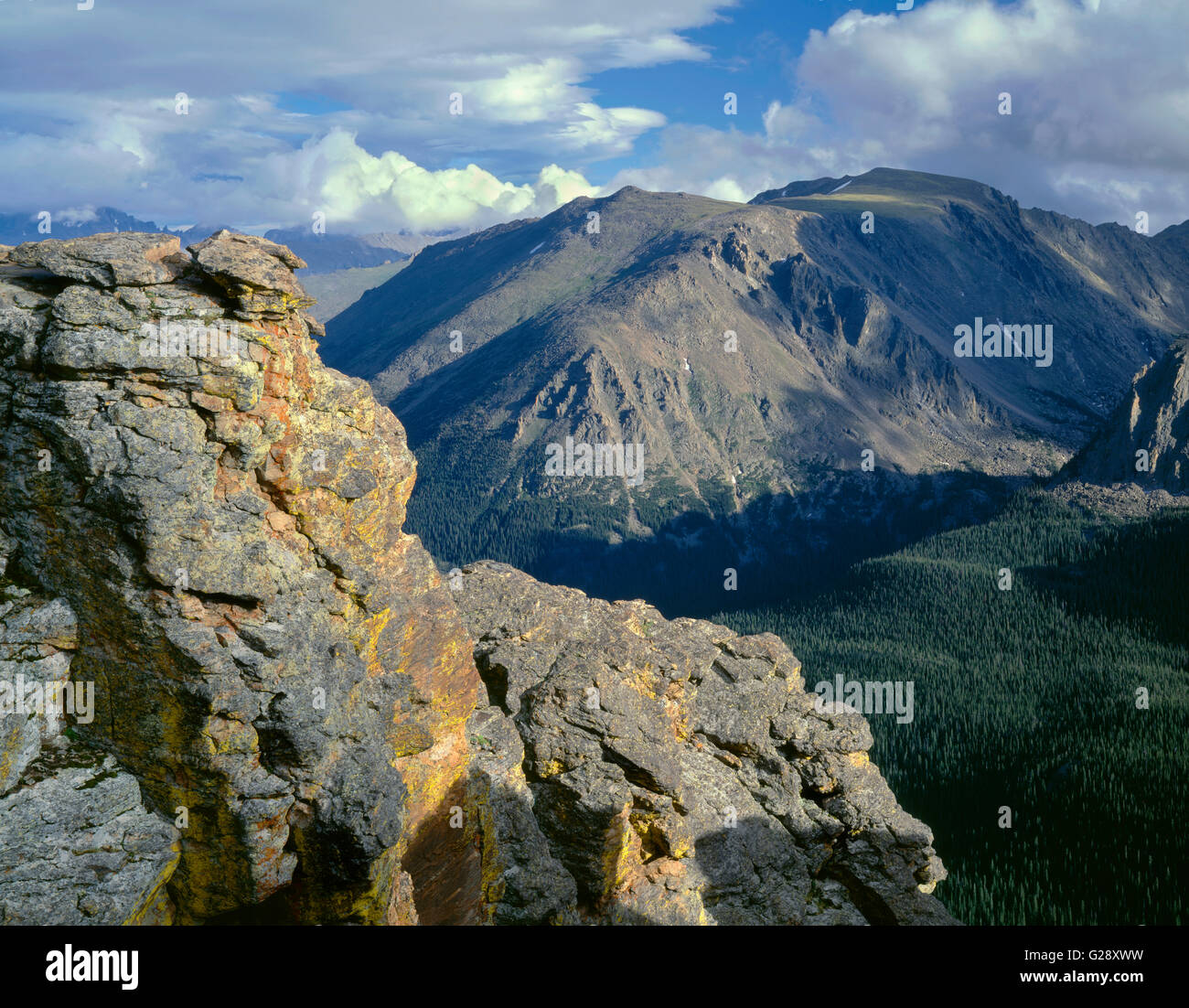 USA, Colorado, Rocky Mountain National Park, Lichen covered rocks at Rock Cut with distant Stones Peak above conifers. Stock Photo
