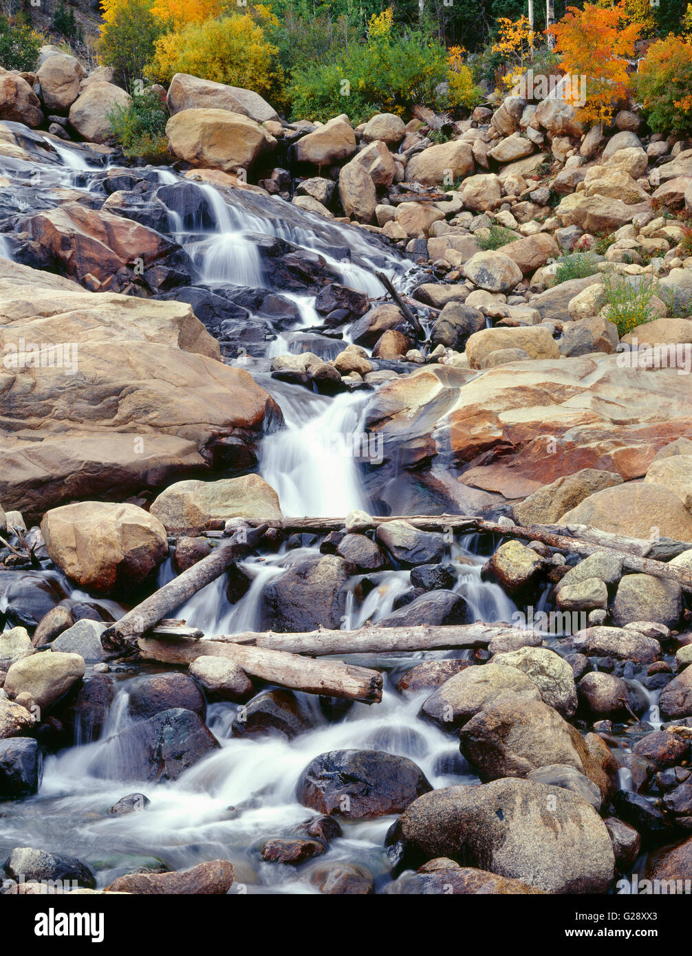 USA, Colorado, Rocky Mountain National Park, Waterfall on Roaring River with fall-colored quaking aspen. Stock Photo