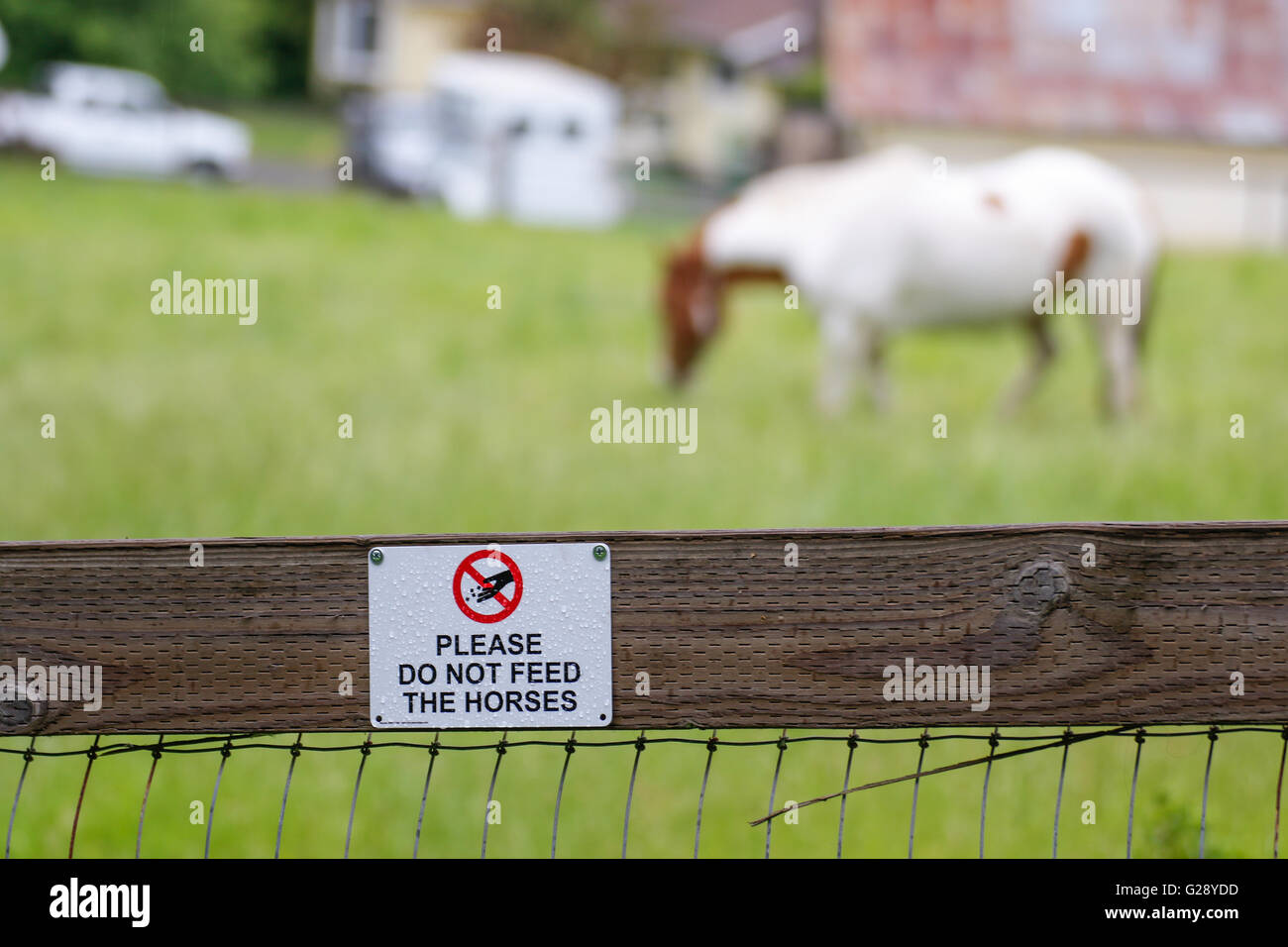 Dont Feed The Horses Hi-res Stock Photography And Images