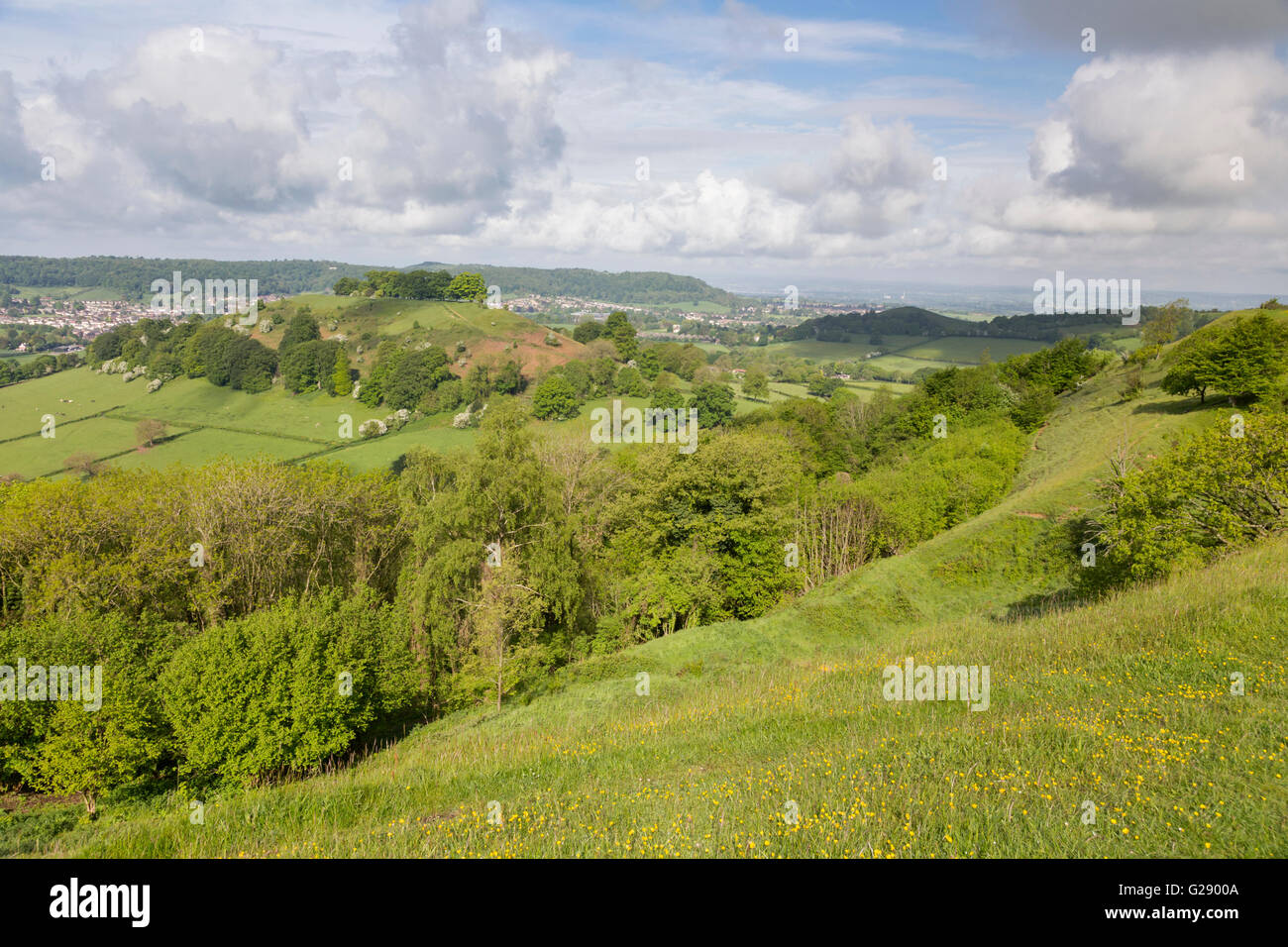 The tree topped Downham Hill in springtime from Uley Bury hillfort near