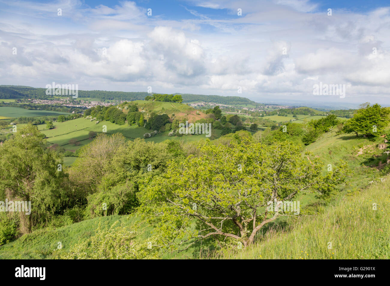 The tree topped Downham Hill in springtime from Uley Bury hillfort near Dursley, Gloucestershire, England,UK Stock Photo