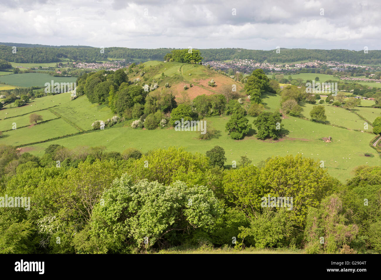 The tree topped Downham Hill in springtime from Uley Bury hillfort near