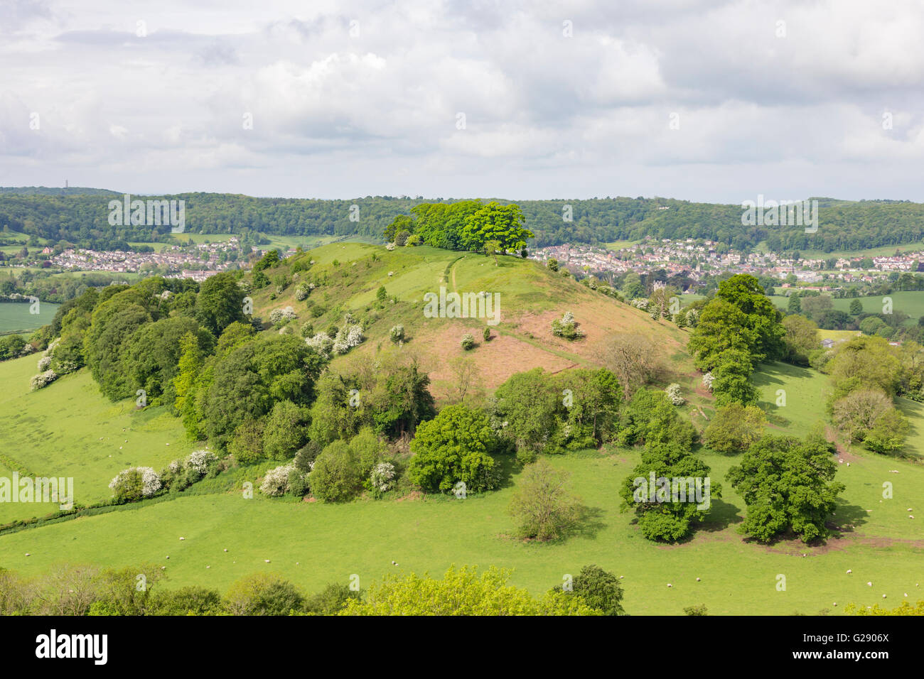 The tree topped Downham Hill in springtime from Uley Bury hillfort and Dursley beyond, Gloucestershire, England,UK Stock Photo