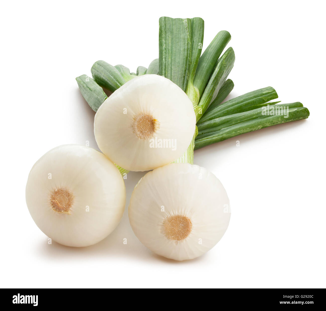 white onion isolated Stock Photo Alamy